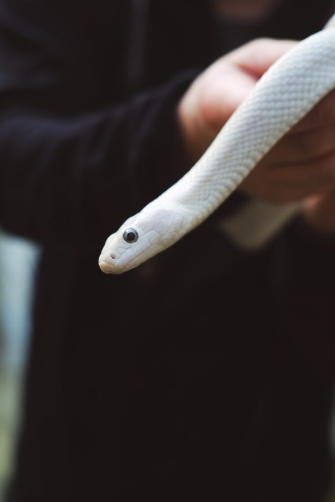 23 frequenzen - unified film studios - backstage by jill chamier