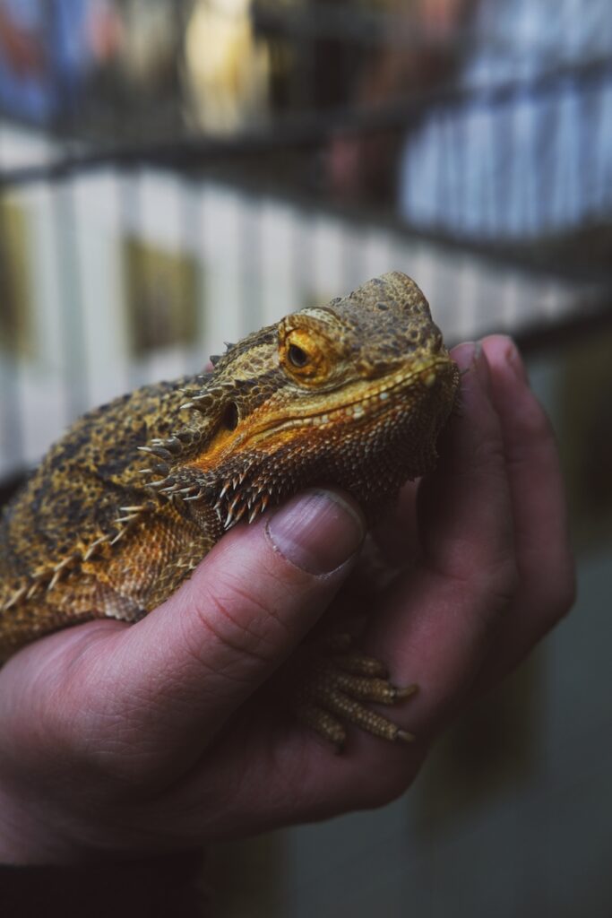 27 frequenzen - unified film studios - backstage by jill chamier